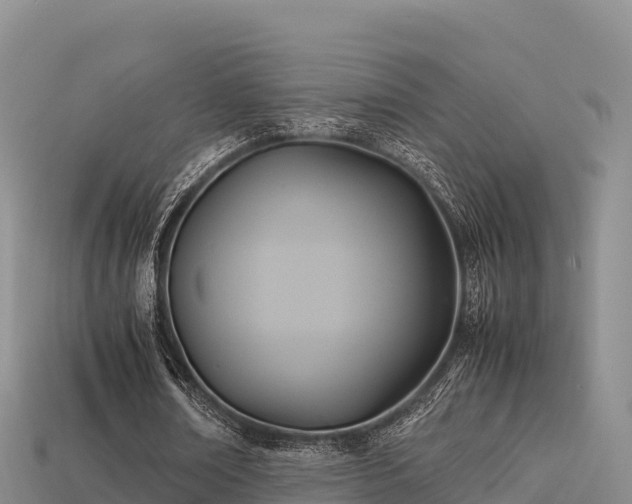 X0000113220674200909171555