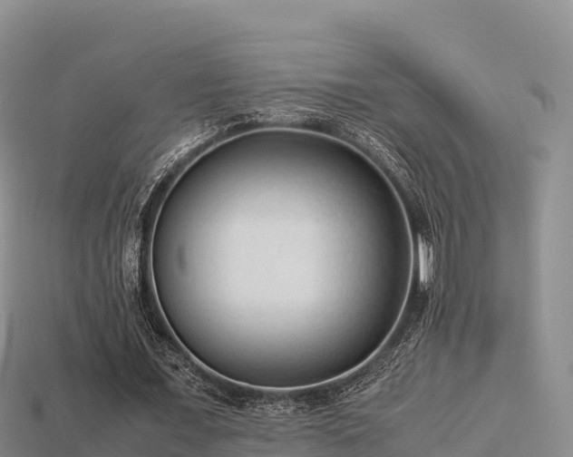 X0000113220675200909171555