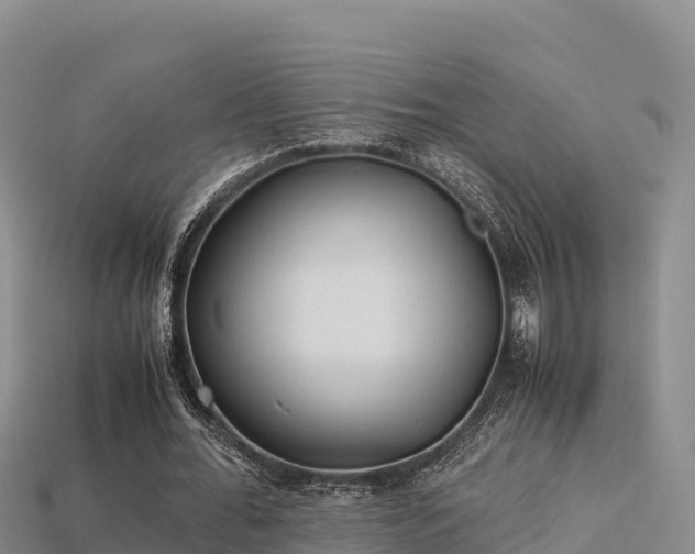 X0000113220676200909171555