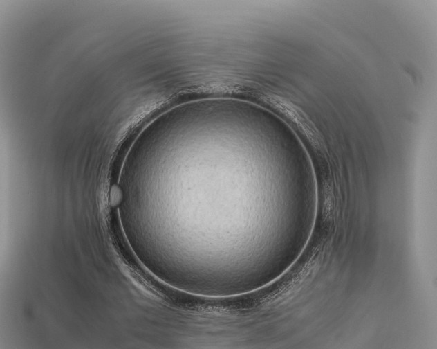 X0000113220677200909171555