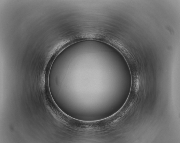 X0000113220678200909171555