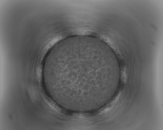 X0000113220679200909171555