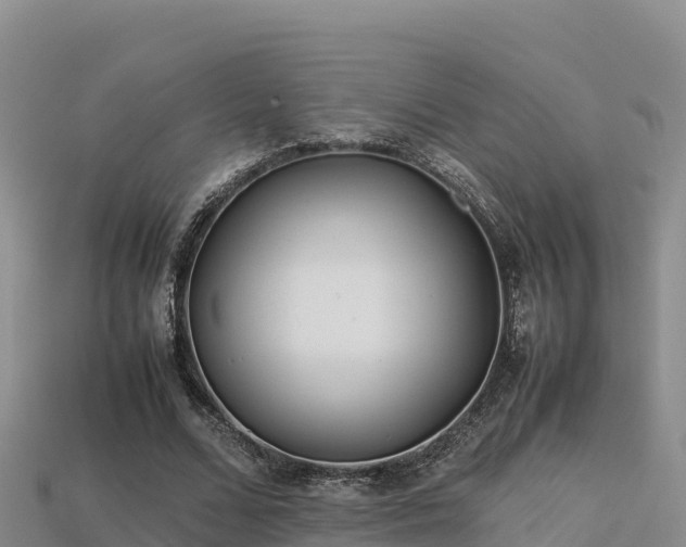 X0000113220680200909171555