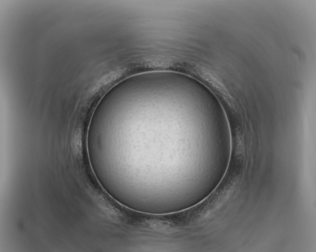 X0000113220681200909171555