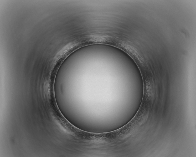 X0000113220682200909171555