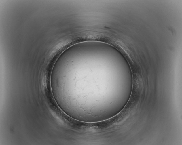 X0000113220683200909171555