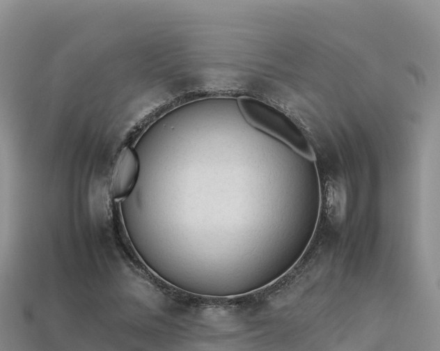 X0000113220684200909171555