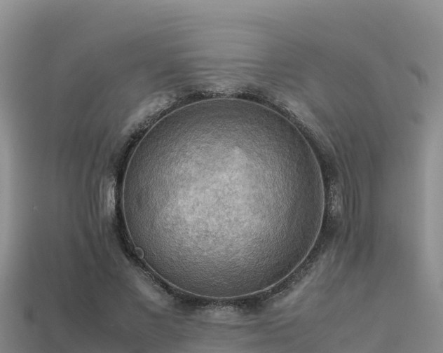 X0000113220685200909171555