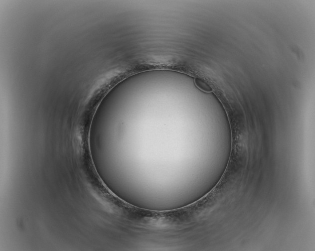 X0000113220688200909171555