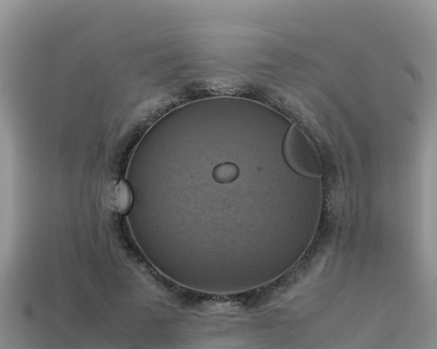 X0000113220689200909171555