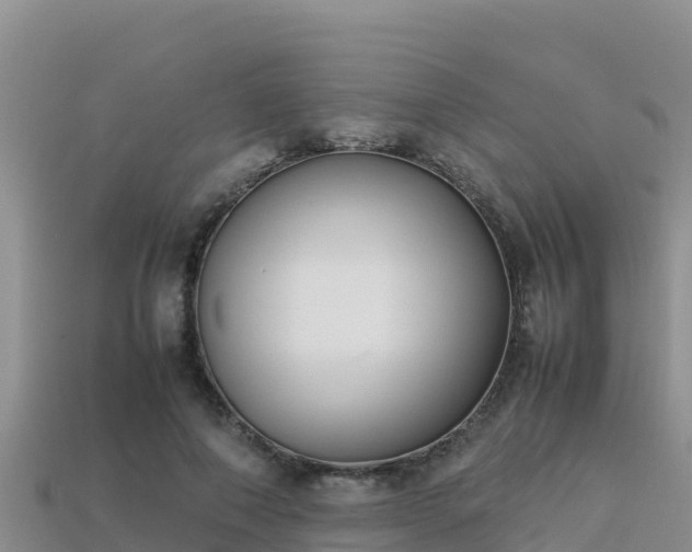 X0000113220690200909171555