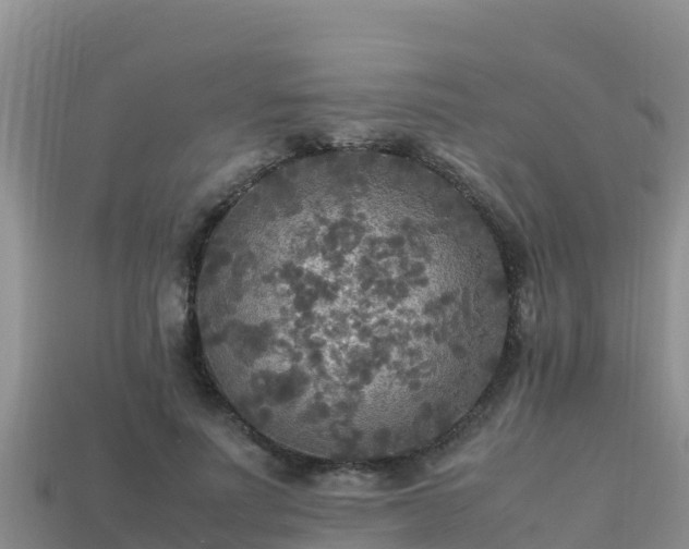 X0000113220691200909171555