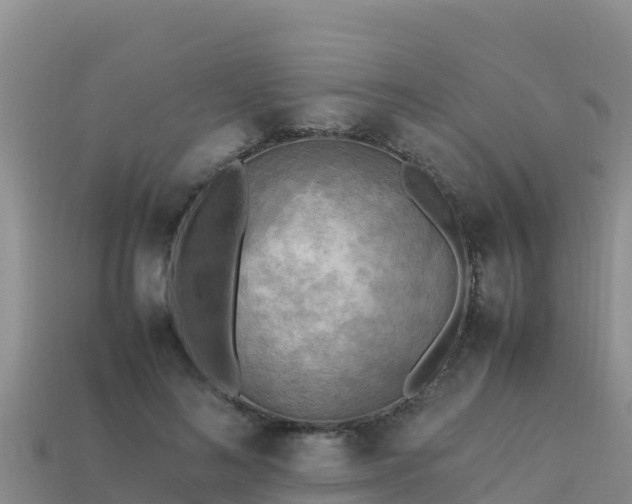 X0000113220692200909171555