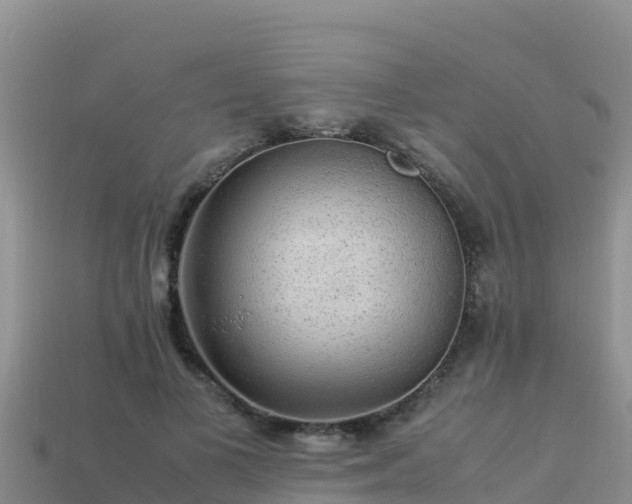 X0000113220693200909171555