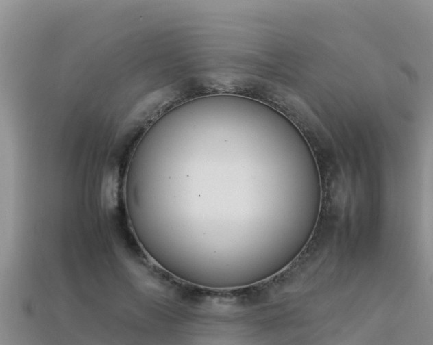 X0000113220694200909171555