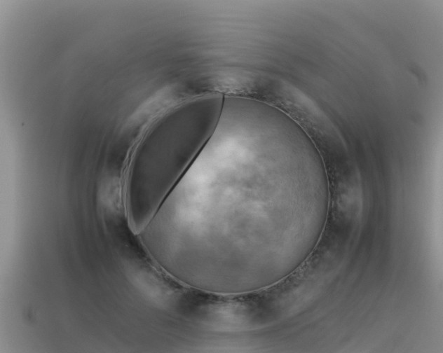 X0000113220696200909171555