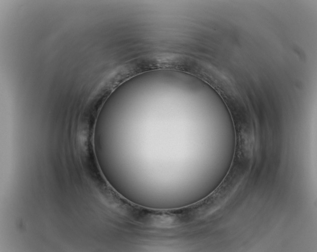 X0000113220698200909171555