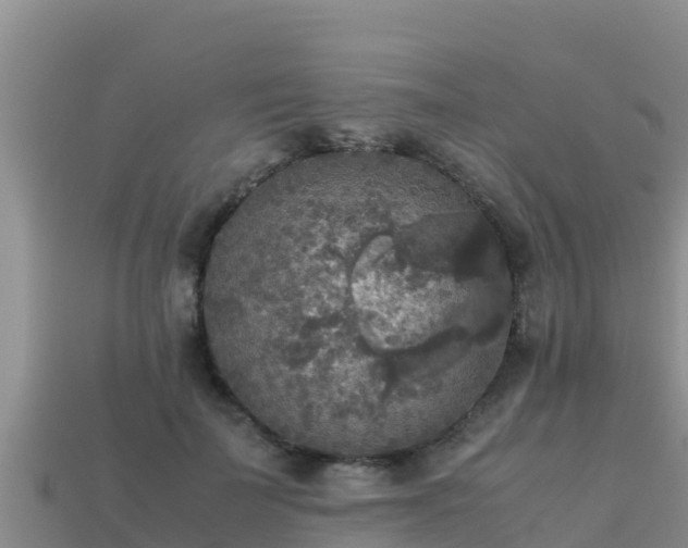 X0000113220699200909171555