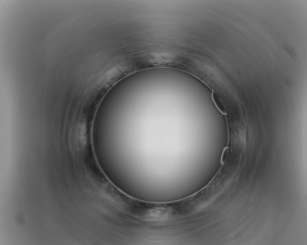 X0000113220700200909171555