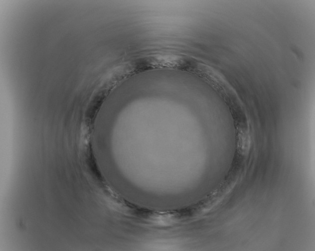 X0000113220701200909171555