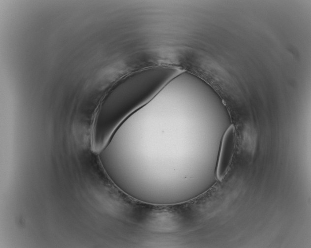 X0000113220704200909171555