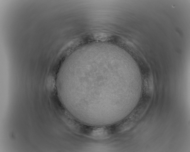 X0000113220705200909171555