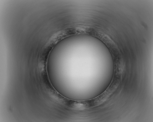 X0000113220706200909171555