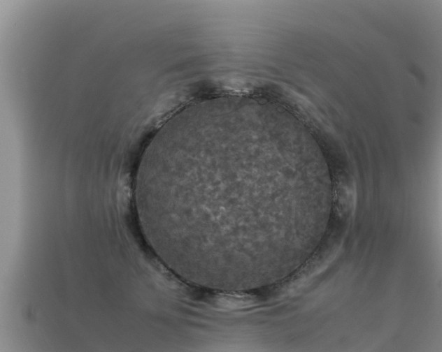 X0000113220707200909171555