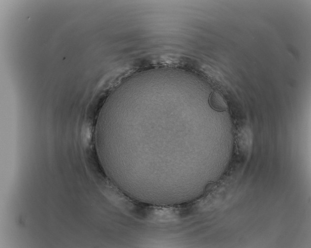 X0000113220709200909171555