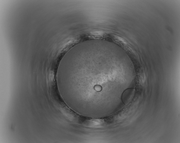 X0000113220711200909171555