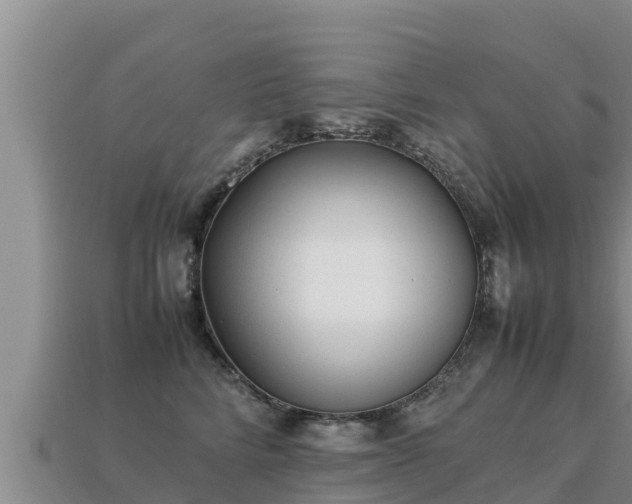 X0000113220712200909171555