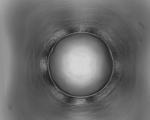 X0000113220719200909171555