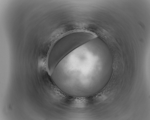 X0000113220720200909171555