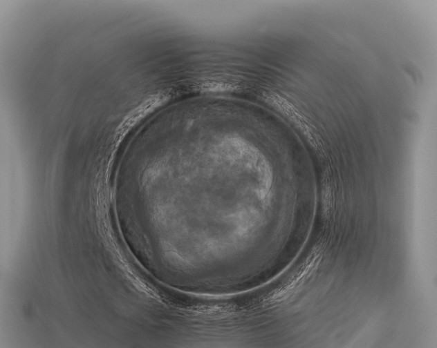 X0000113220721200909171554