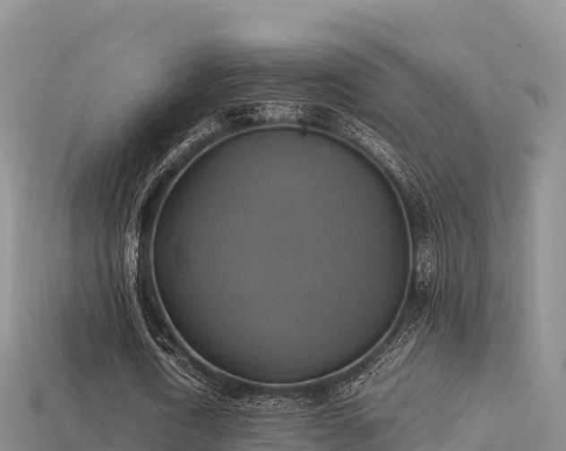 X0000113220722200909171554