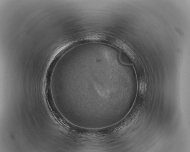 X0000113220724200909171554