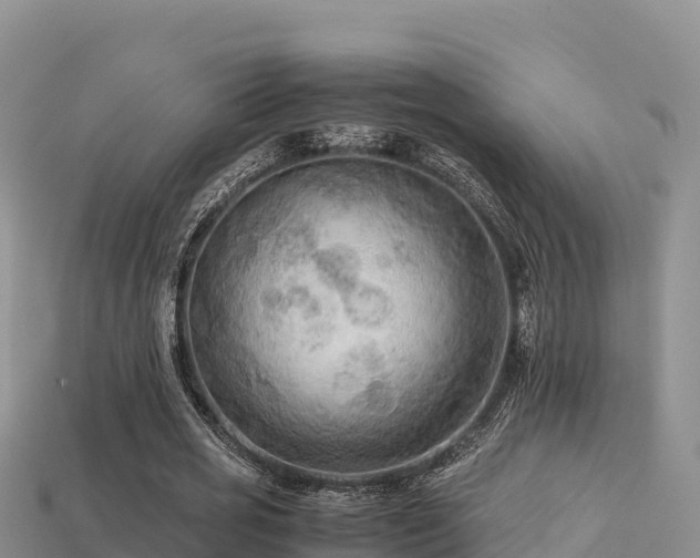 X0000113220725200909171554