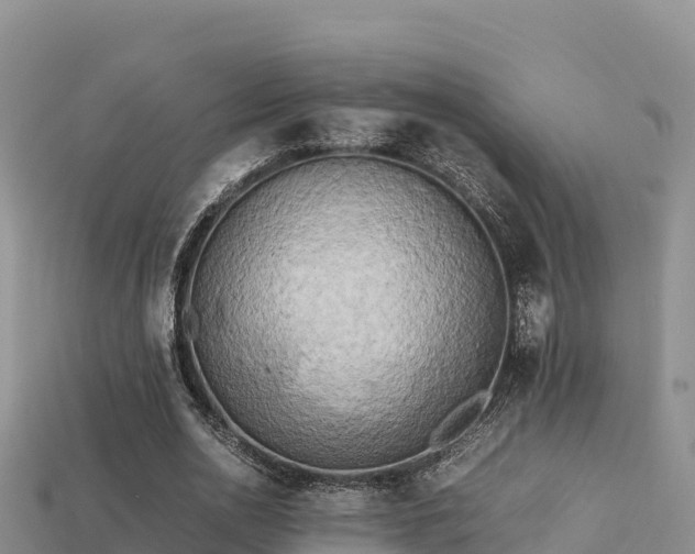 X0000113220726200909171554