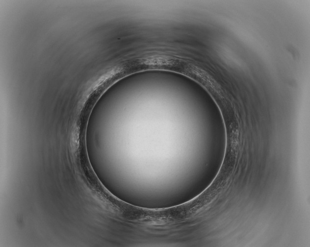 X0000113220727200909171554