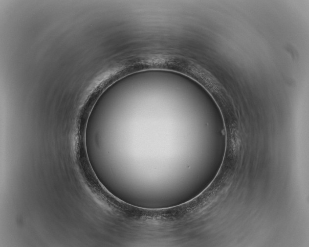 X0000113220728200909171554