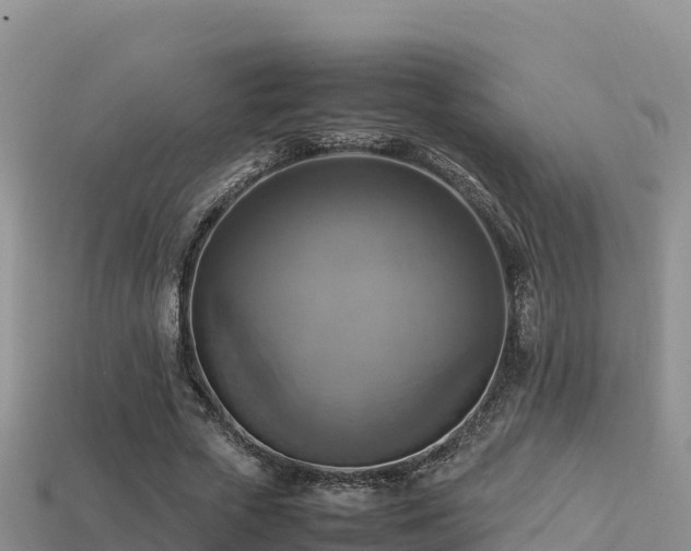 X0000113220729200909171554