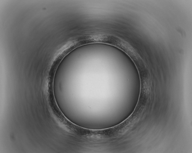 X0000113220730200909171554