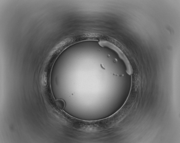 X0000113220731200909171554