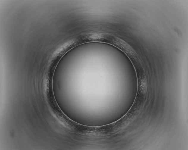 X0000113220732200909171554