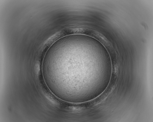 X0000113220733200909171554