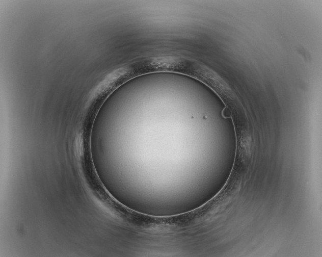 X0000113220734200909171554