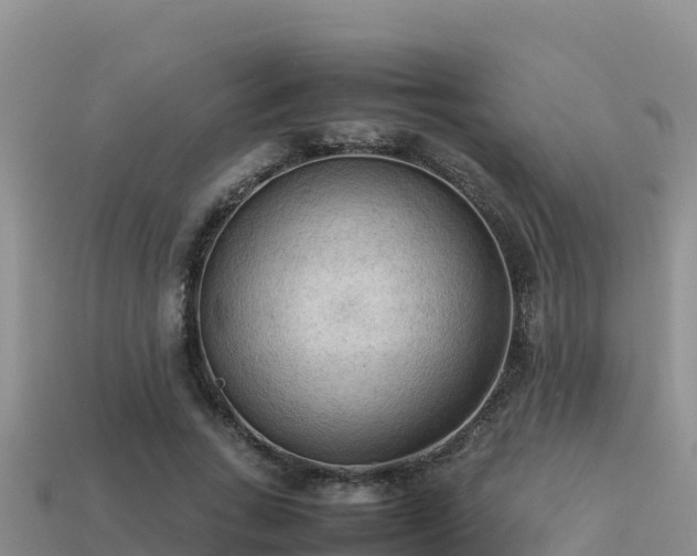 X0000113220735200909171554