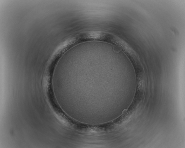 X0000113220736200909171554