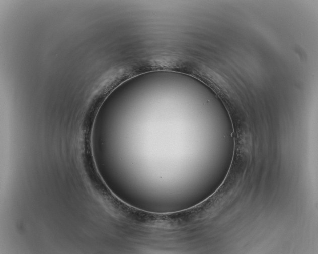 X0000113220738200909171554