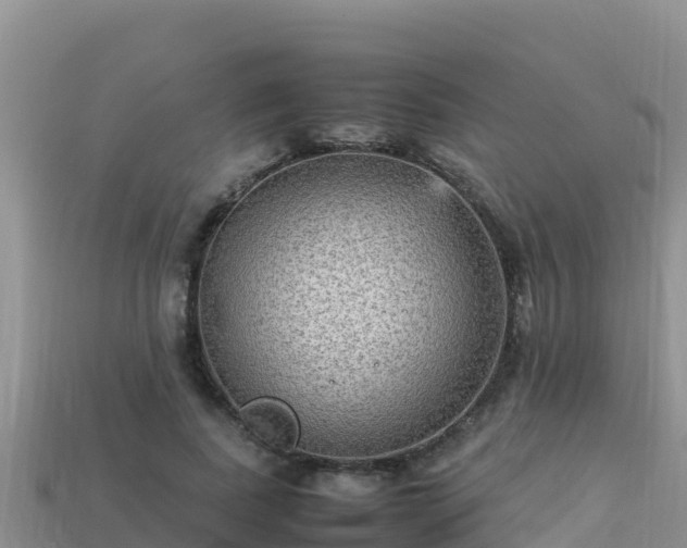 X0000113220739200909171554